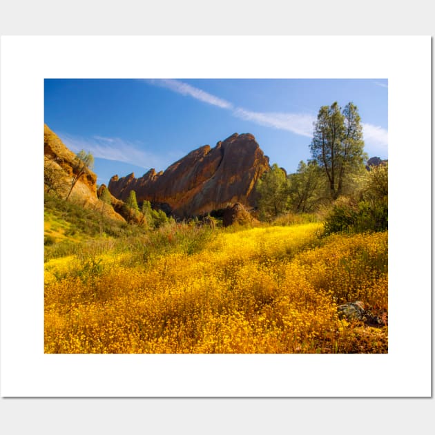 Pinnacles National Park Wall Art by algill